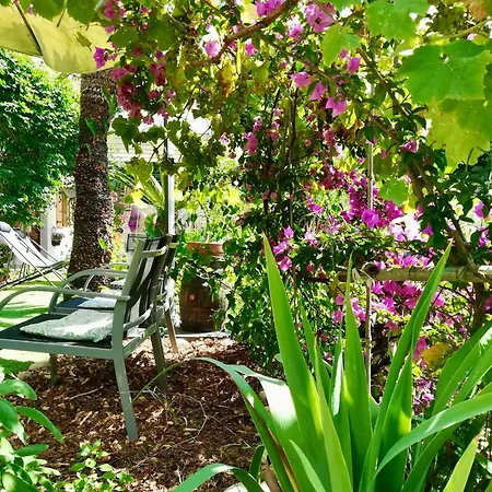 Bellabé Bed & Breakfast Nizza