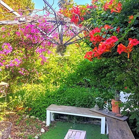 Bellabe Bed & Breakfast Nice