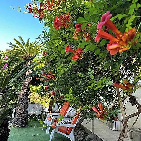 Bellabe Bed & Breakfast