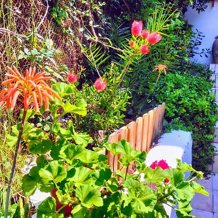 住宿加早餐酒店 贝拉贝别墅