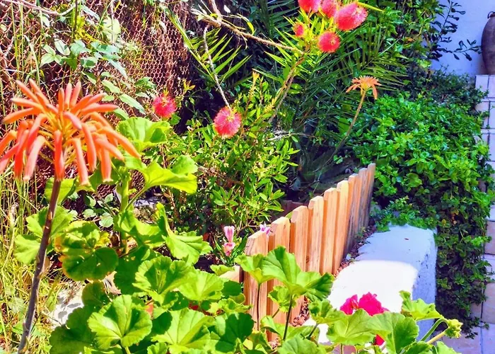 לינה וארוחת בוקר Bellabe